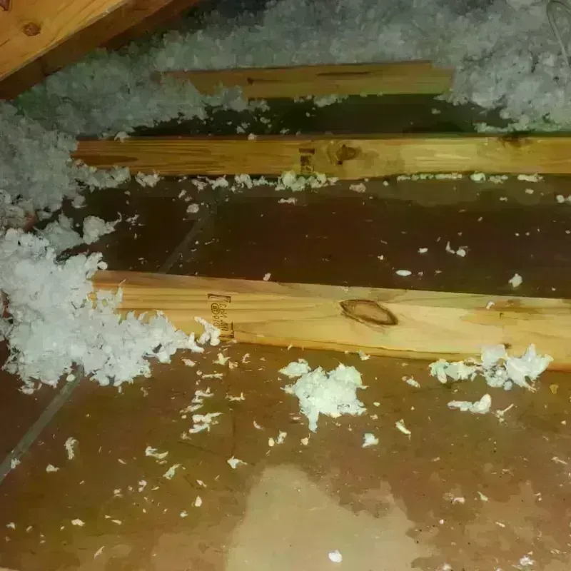 Attic Water Damage in Royal Kunia, HI